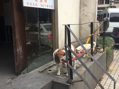 -东泰祥生煎馆(重庆北路店)
