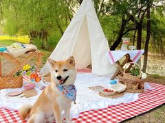 -Smile House咖啡馆(群芳小区店)