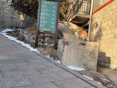 -北京凤凰岭