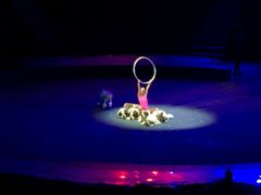 -珠海横琴长隆《卡卡虎奇遇记》