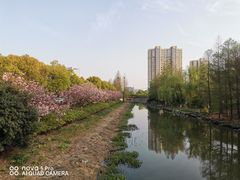 -诺贝尔湖公园