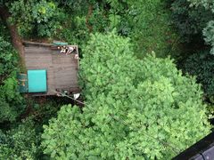 -清迈丛林飞跃 JungleFlight