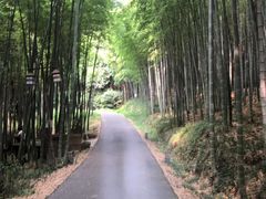 -苏州环秀晓筑养生度假村