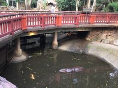 -清迈夜间动物园