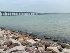 -宝安西湾红树林湿地公园