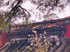 -潭柘寺景区