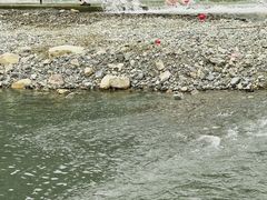 -雅鲁激流探险漂流