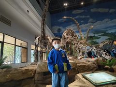 -自贡恐龙博物馆