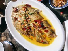 -印象鲵宴·张家界地标美食名片(溪布街店)