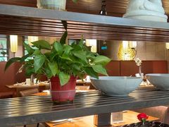 -金枝玉叶上海人家食府(三里河店)