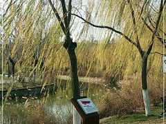 -南翠屏公园