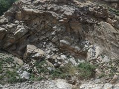 -王顺山国家森林公园