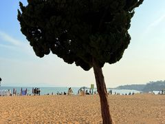 -青岛第一海水浴场