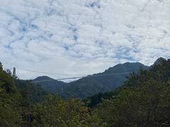 -南丹山森林王国