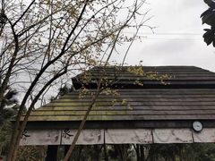 -融汇温泉
