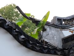 -上海醉白池公园