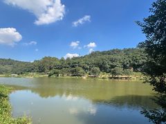 -南国桃园旅游度假区