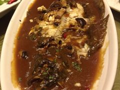 红烧鳜鱼-东方之珠海鲜酒楼(南开店)