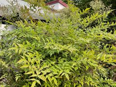-深业半汤御泉庄温泉