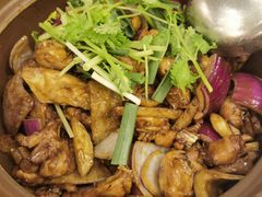 -胡须佬鸡煲四季火锅店(石厦西村直营店)