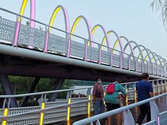 -大兴滨河森林公园