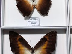 -烟台市博物馆