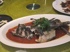 -南海渔村(珠江新城店)