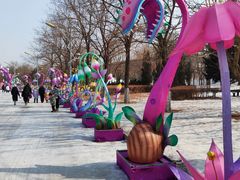 -沈阳奥体冰雪嘉年华