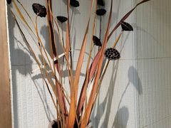 -枣子树素餐厅(铂金城店)