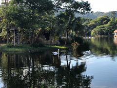 -清迈夜间动物园