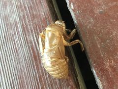 -林栖谷森林康养度假区