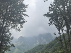 -陕西省红河谷森林公园