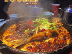 -老板恋上鱼(恒隆广场店)