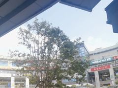 -浦江城市生活广场(江月路店)