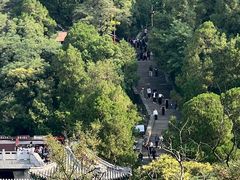 -泰山风景名胜区