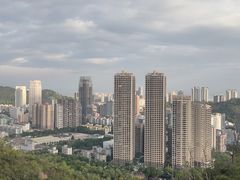 -板樟山森林公园