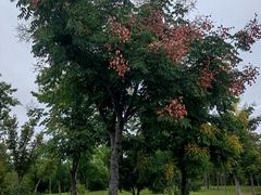 -狼山风景名胜区