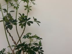 -美丽妈妈产后恢复中心(南桥旗舰店)
