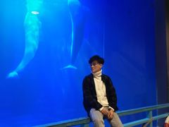 -大连圣亚海洋世界
