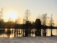 -南宁花花大世界景区