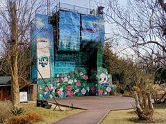 -东平国家森林公园