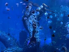 -波塞冬海底世界