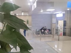 -上海大学附属上海和平眼科医院