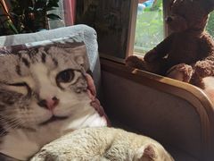 -咖法森林·咖啡  酒吧(天河店)