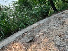 -羚羊峡古栈道森林公园