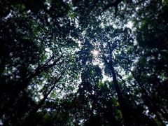 -艾溪湖湿地公园