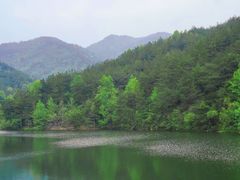 -木兰云雾山