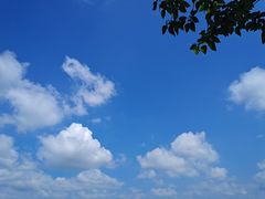 -瑶湖郊野森林公园