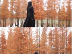 -白鹭湾湿地公园