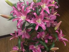 -双季花艺园艺市场(浦东店)